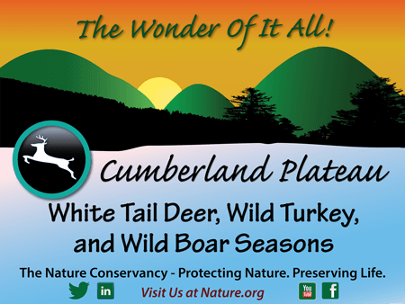 Cumberland Plateau Poster